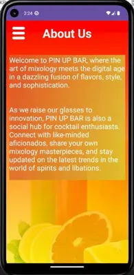 Pin Up Bar android App screenshot 4